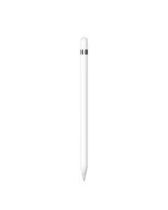 Apple Pencil 1-st Generation With USB-C Pencil Adapter MQLY3