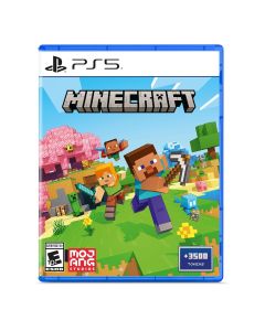 PlayStation 5 Minecraft
