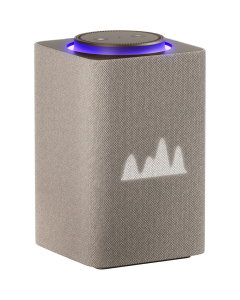 Yandex Alisa YNDX-00053