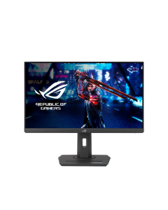 Asus XG259QNS (90LM09M0-B01370)